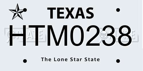 HTM0238 Texas License Plate