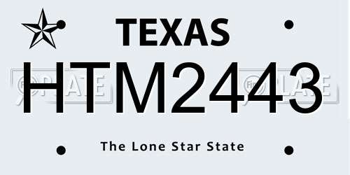 HTM2443 Texas License Plate