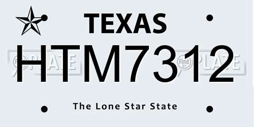 HTM7312 Texas License Plate