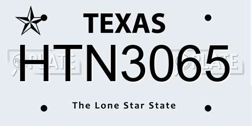 HTN3065 Texas License Plate