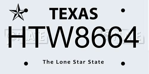 HTW8664 Texas License Plate