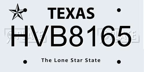 HVB8165 Texas License Plate