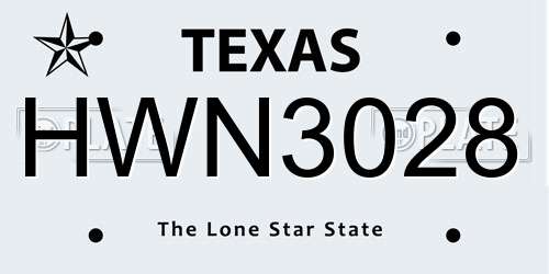 HWN3028 Texas License Plate