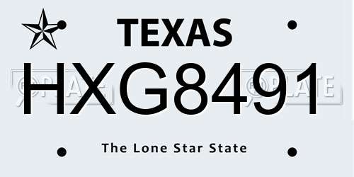 HXG8491 Texas License Plate