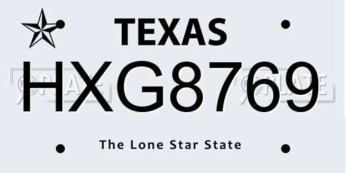 HXG8769 Texas License Plate