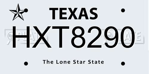HXT8290 Texas License Plate