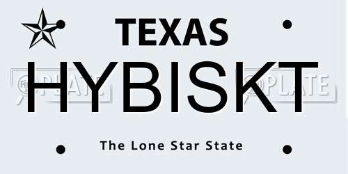 HYBISKT Texas License Plate