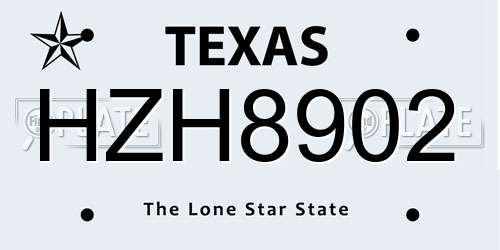 HZH8902 Texas License Plate