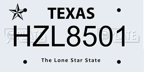 HZL8501 Texas License Plate