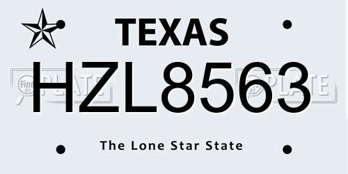 HZL8563 Texas License Plate