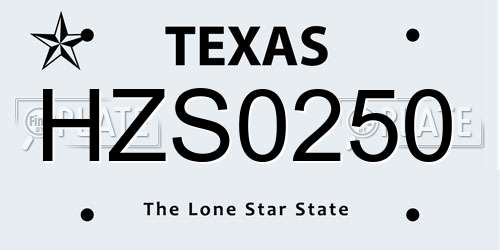 HZS0250 Texas License Plate