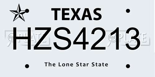 HZS4213 Texas License Plate