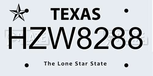 HZW8288 Texas License Plate