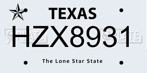 HZX8931 Texas License Plate