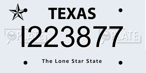 I223877 Texas License Plate