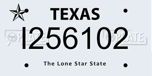 I256102 Texas License Plate