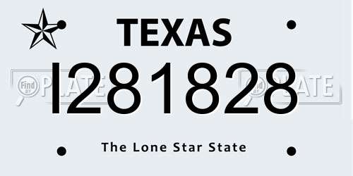I281828 Texas License Plate