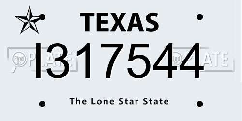 I317544 Texas License Plate