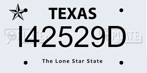 I42529D Texas License Plate