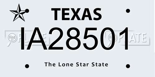 IA28501 Texas License Plate