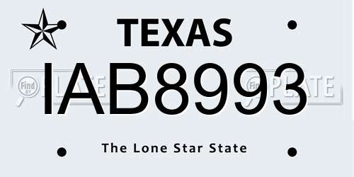 IAB8993 Texas License Plate