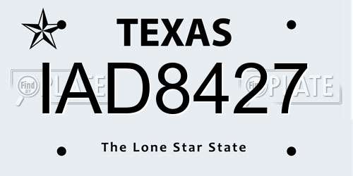 IAD8427 Texas License Plate