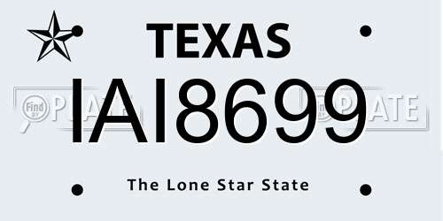 IAI8699 Texas License Plate
