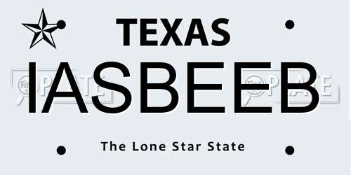 IASBEEB Texas License Plate