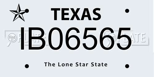 IB06565 Texas License Plate
