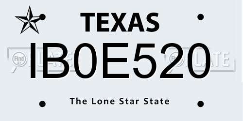 IB0E520 Texas License Plate