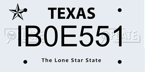 IB0E551 Texas License Plate
