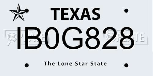 IB0G828 Texas License Plate
