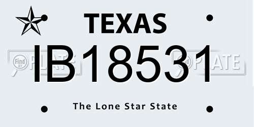 IB18531 Texas License Plate