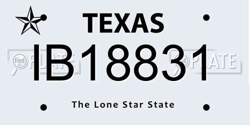 IB18831 Texas License Plate