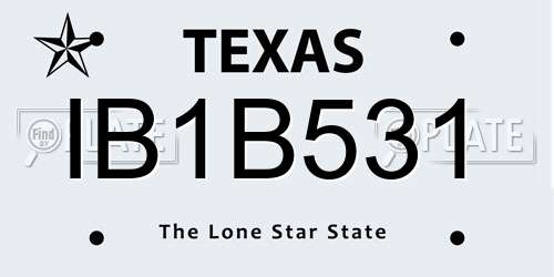 IB1B531 Texas License Plate