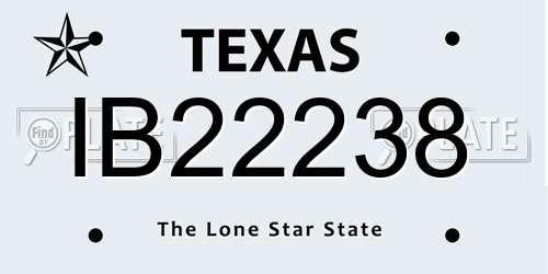 IB22238 Texas License Plate