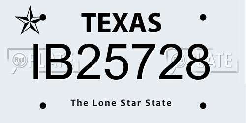 IB25728 Texas License Plate