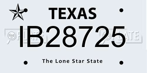 IB28725 Texas License Plate