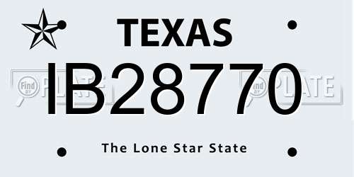 IB28770 Texas License Plate