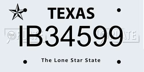 IB34599 Texas License Plate