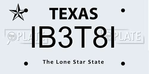 IB3T8I Texas License Plate