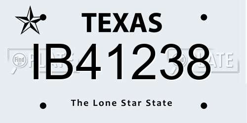 IB41238 Texas License Plate