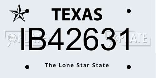 IB42631 Texas License Plate