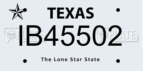 IB45502 Texas License Plate