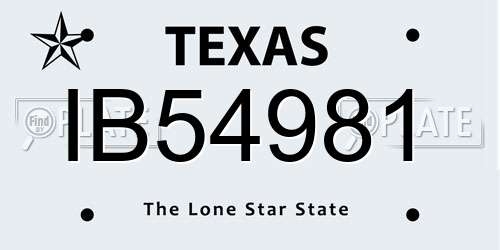 IB54981 Texas License Plate