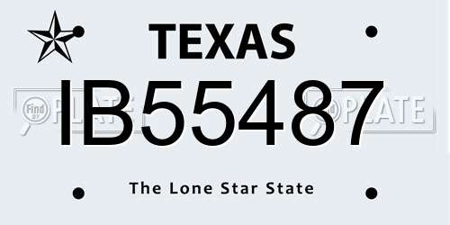 IB55487 Texas License Plate