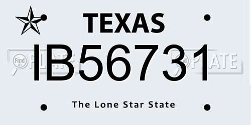 IB56731 Texas License Plate