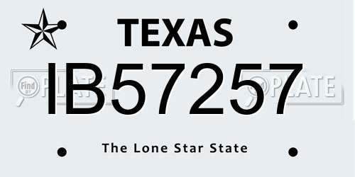IB57257 Texas License Plate