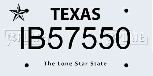 IB57550 Texas License Plate