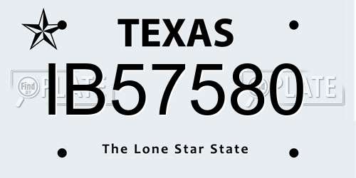 IB57580 Texas License Plate